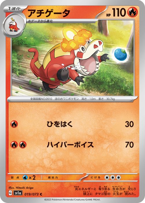 アチゲータ カード